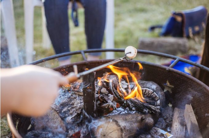Someone roasting a marshmallow over a campfire in the wilderness